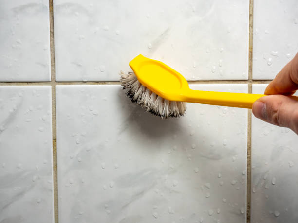 Trusted Miami Shores, FL Mold Removal Experts