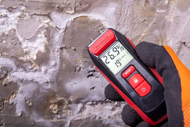 Best Certified Mold Removal  in Miami Shores, FL